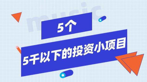 KY开云哪些小项目投资最赢利